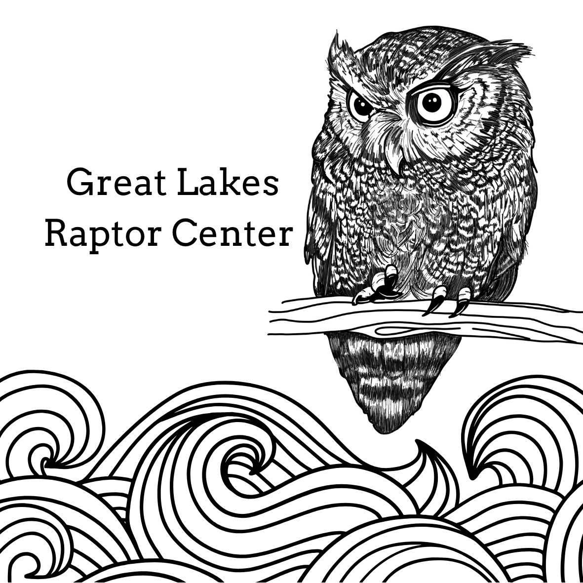 About the  campaign on Bonfire 2