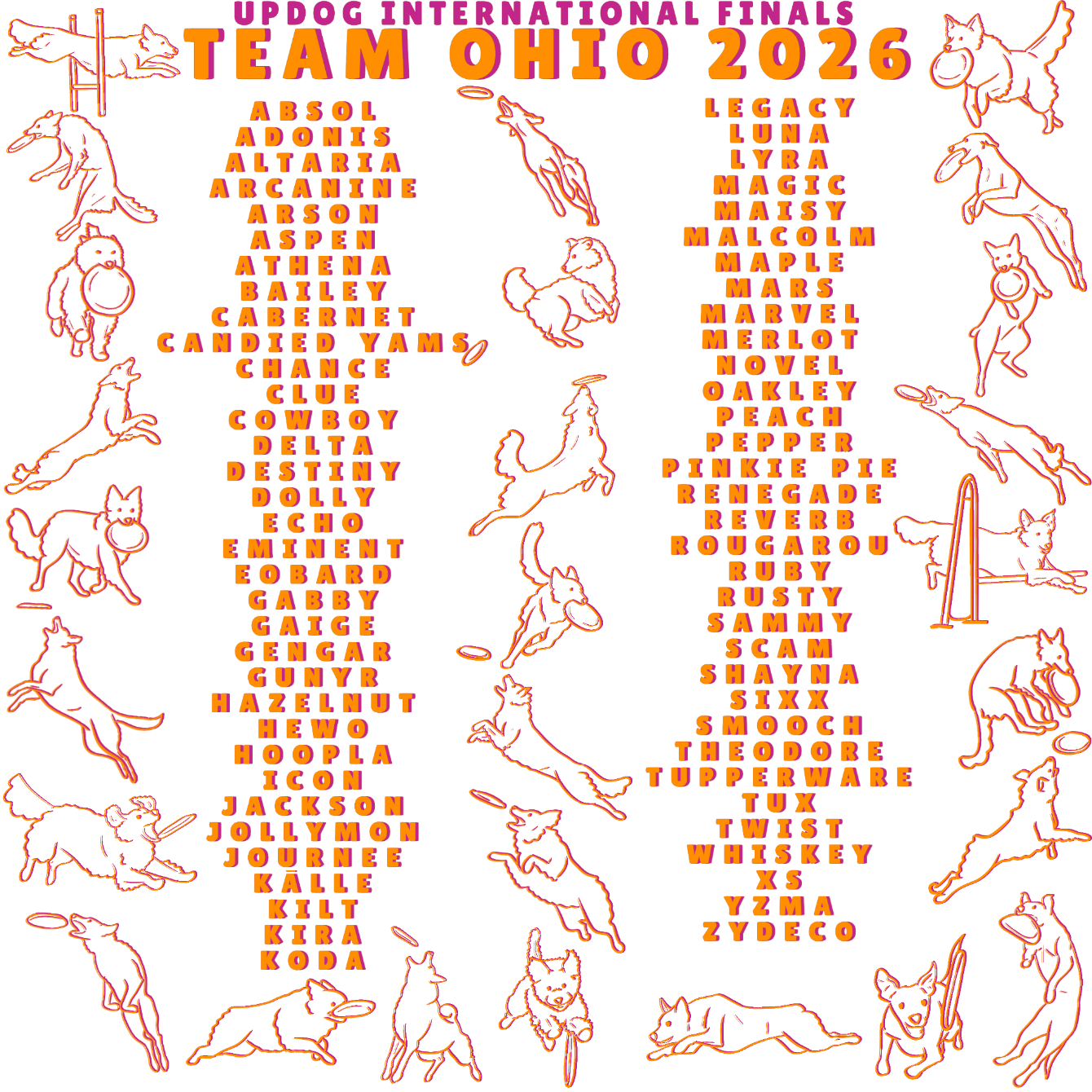 About the Team Ohio UPDIF 2026 ORANGE campaign on Bonfire 2