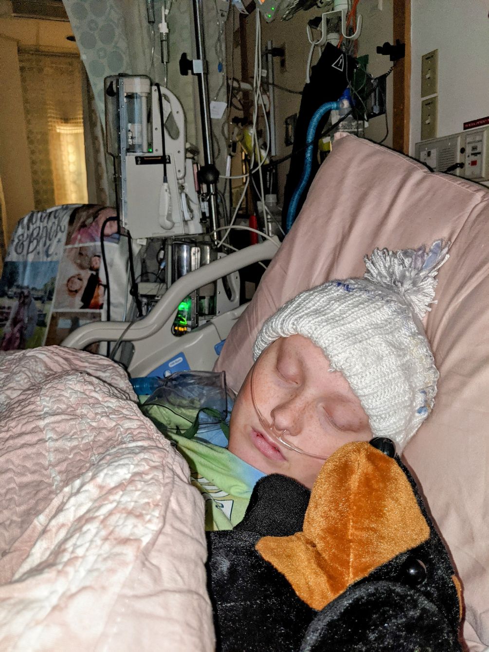 About the Carrigan's Butterfly Merchandise  campaign on Bonfire 4