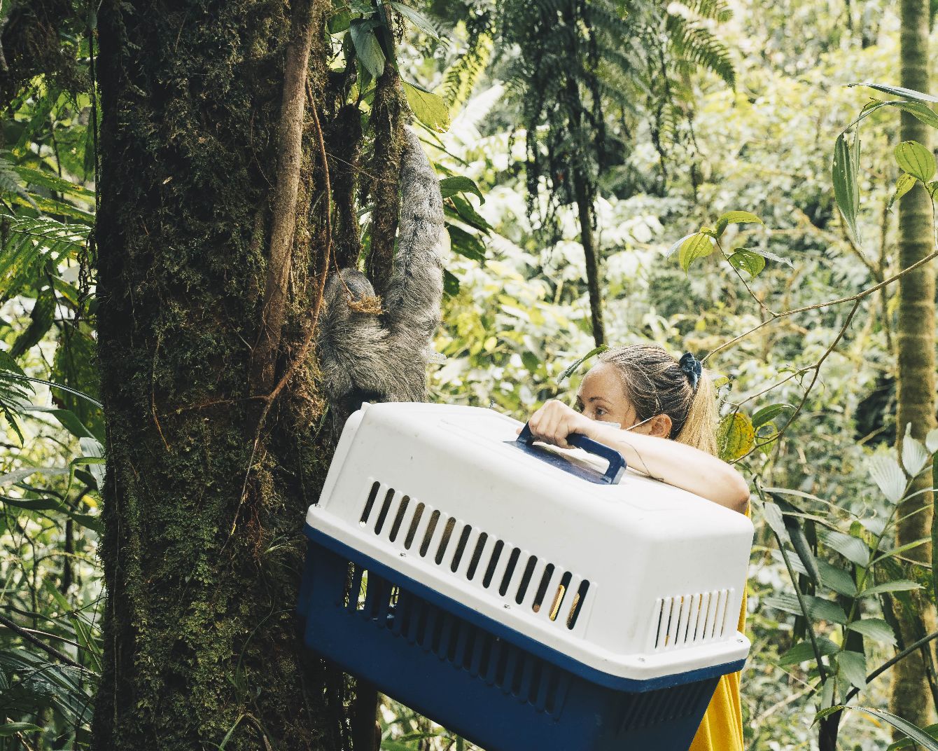 About the  campaign on Bonfire 2