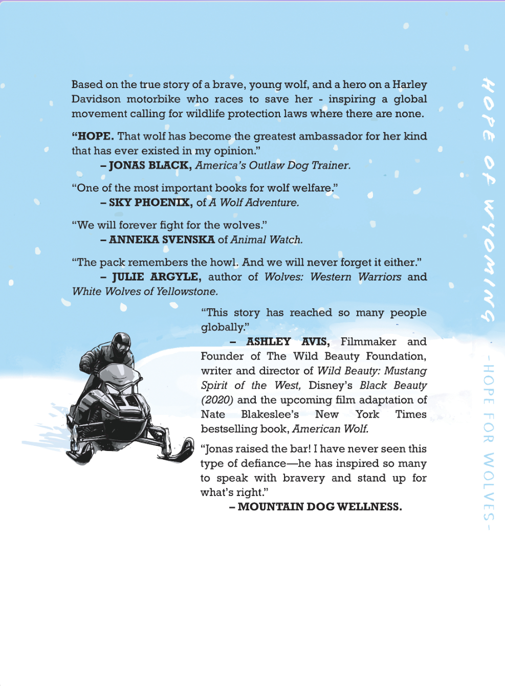 About the HOPE OF WYOMING campaign on Bonfire 3