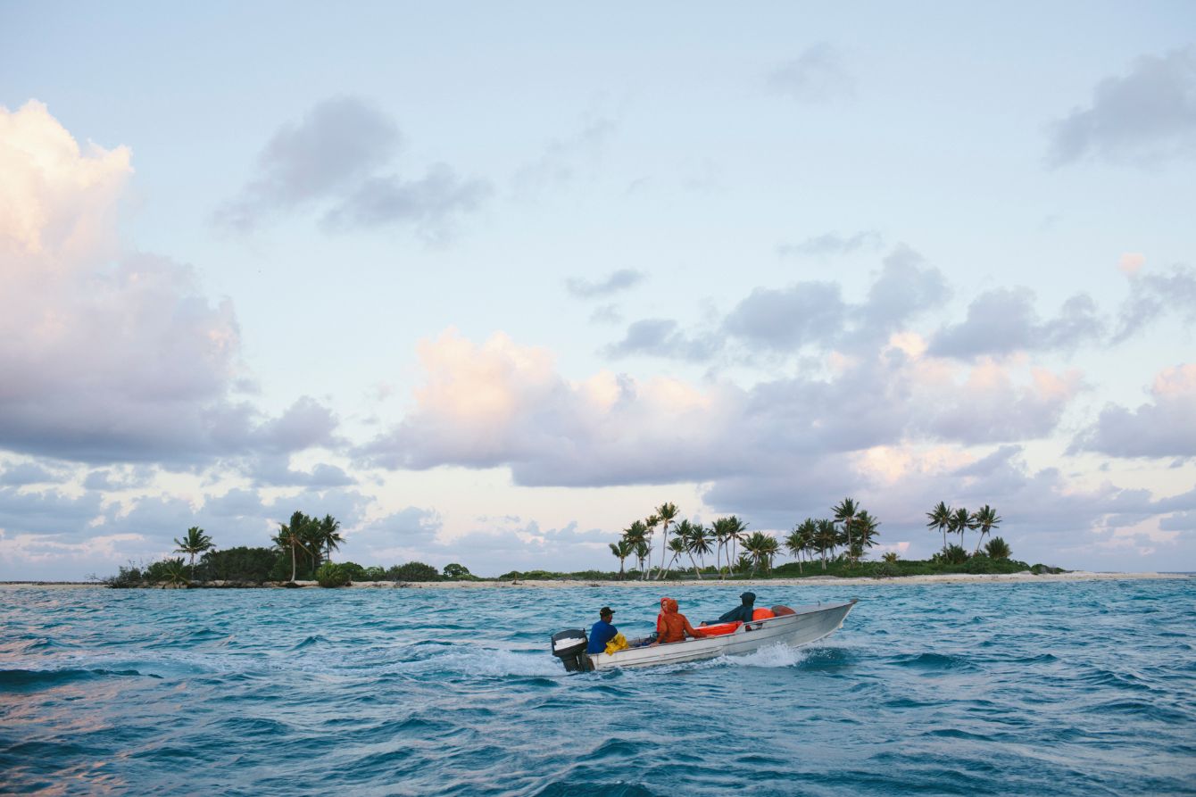 About the Performance Tees campaign on Bonfire 2