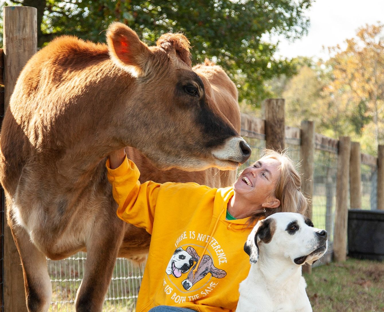 About the Bucket and Colton - Puppy and Grasspuppy campaign on Bonfire 3