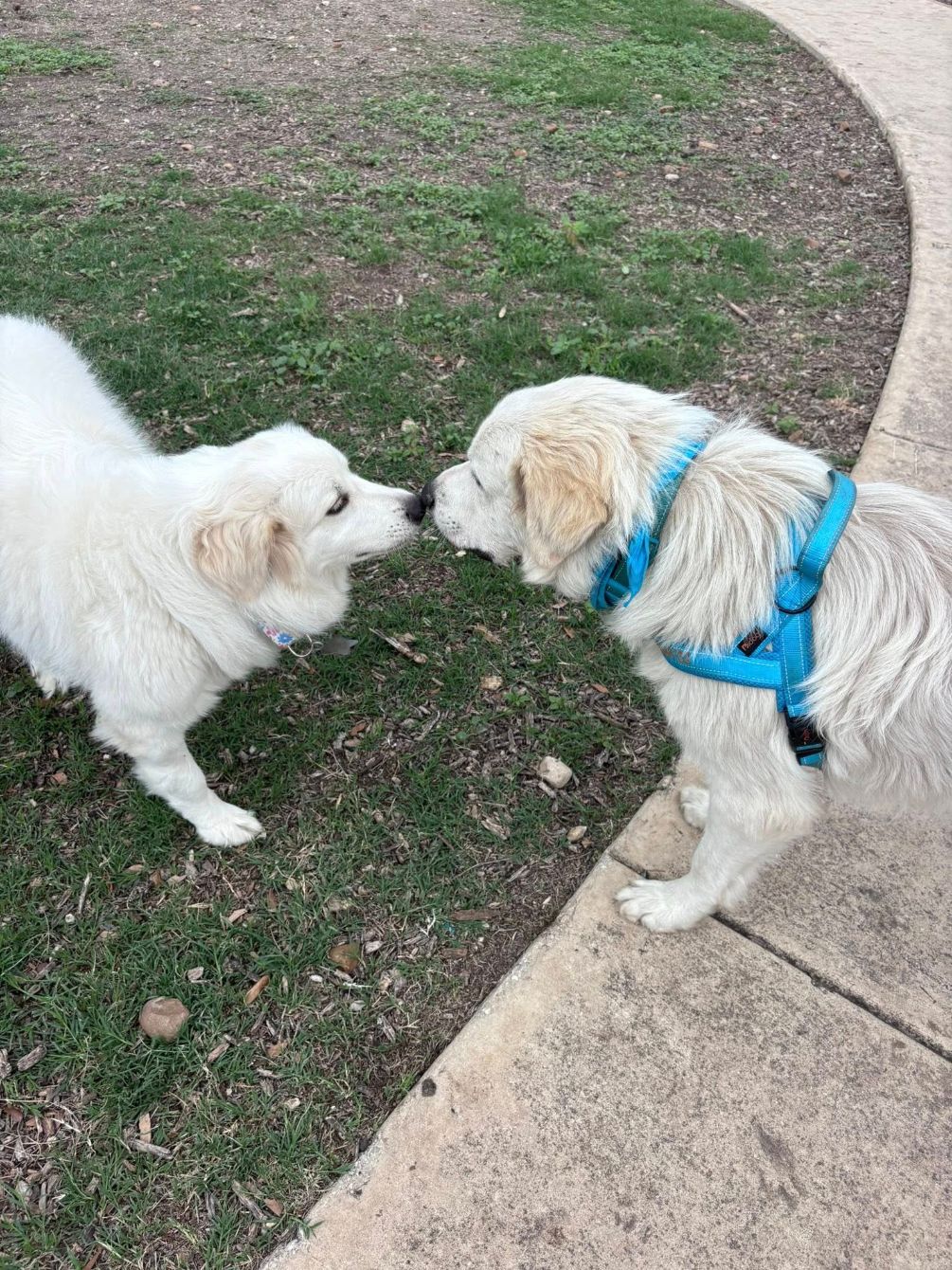 About the TGPR Summer Camp 2025 campaign on Bonfire 3