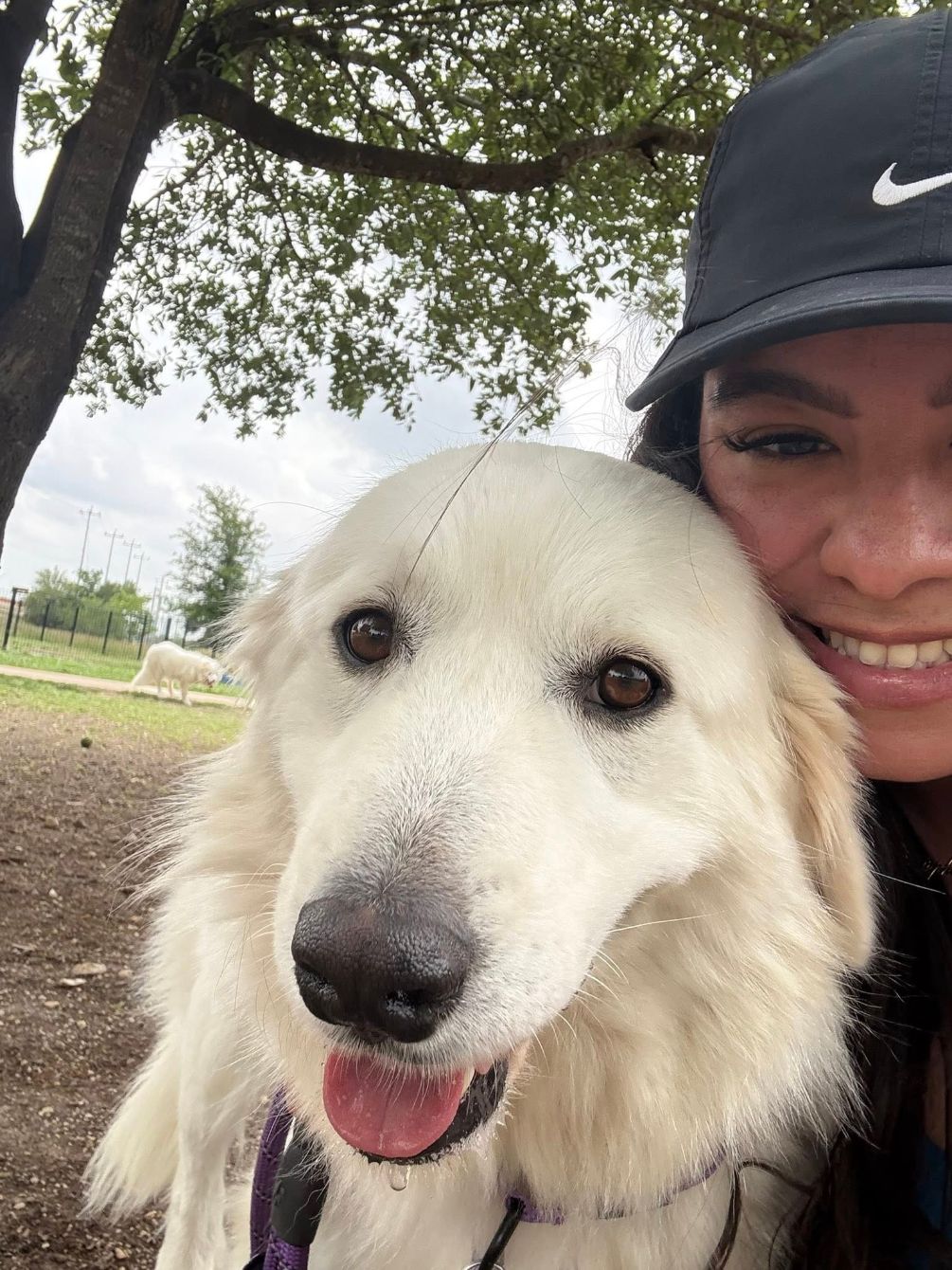 About the TGPR Summer Camp 2025 campaign on Bonfire 4