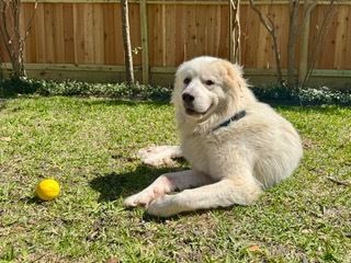 About the TGPR Summer Camp 2025 campaign on Bonfire 6