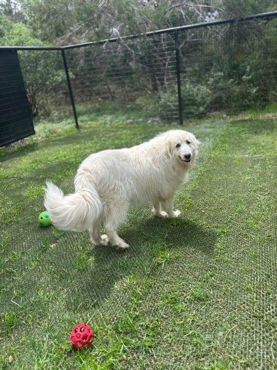 About the TGPR Summer Camp 2025 campaign on Bonfire 2