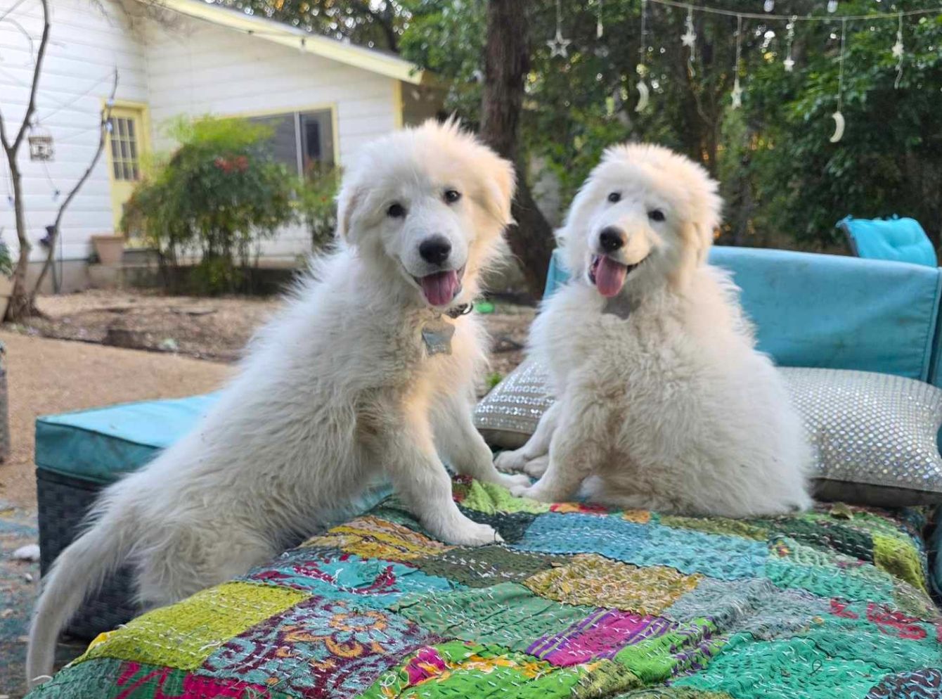 About the TGPR Summer Camp 2025 campaign on Bonfire 5