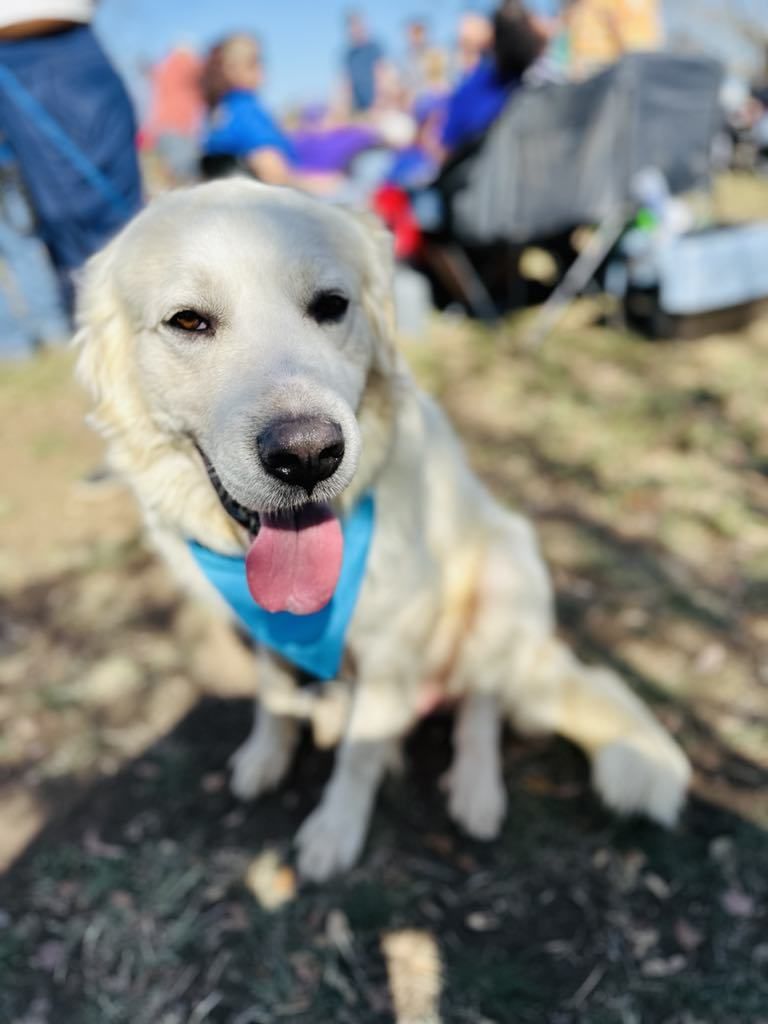 About the TGPR Summer Camp 2025 campaign on Bonfire 7