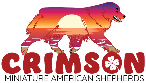 store-logo