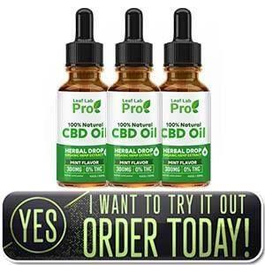 cbd oil dosage for cats anxiety
