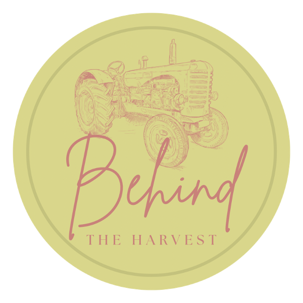 store-logo
