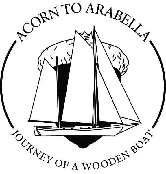 store-logo