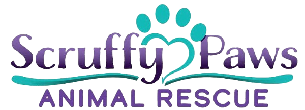 store-logo