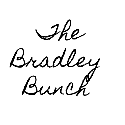 store-logo