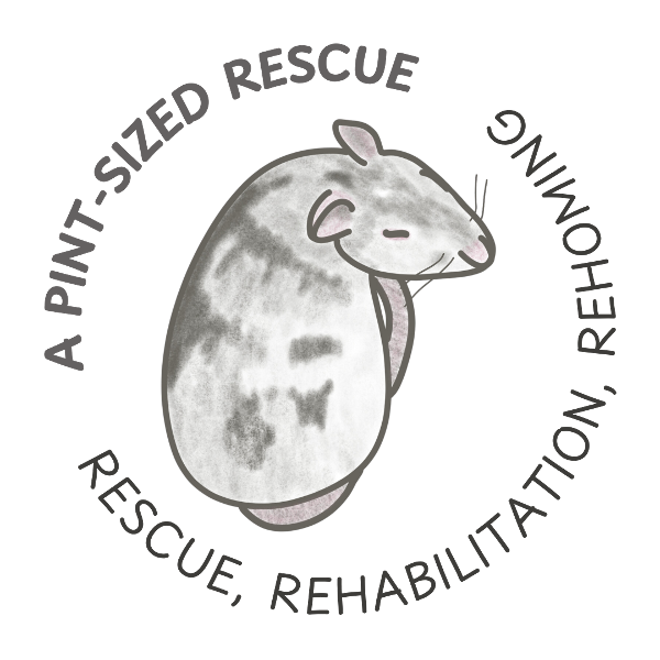 store-logo