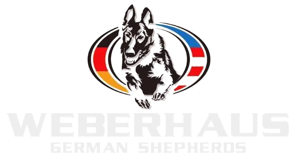 Weberhaus German Shepherds 