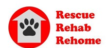 store-logo