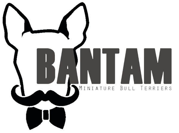 store-logo