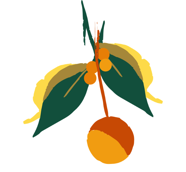 store-logo
