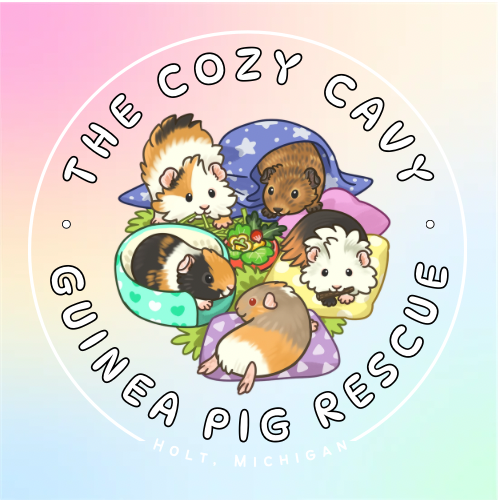 store-logo