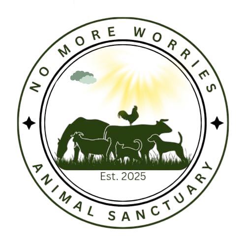 store-logo
