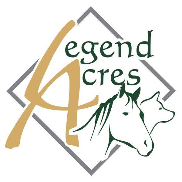 store-logo
