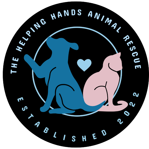 store-logo