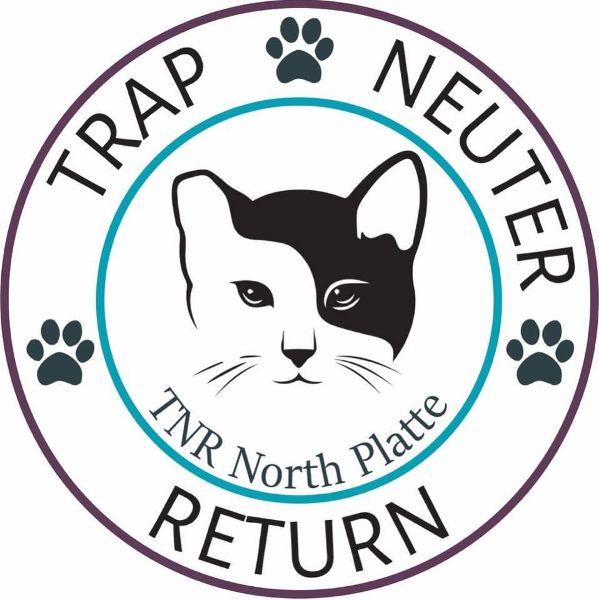store-logo