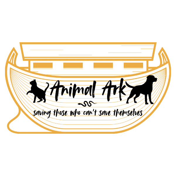 store-logo
