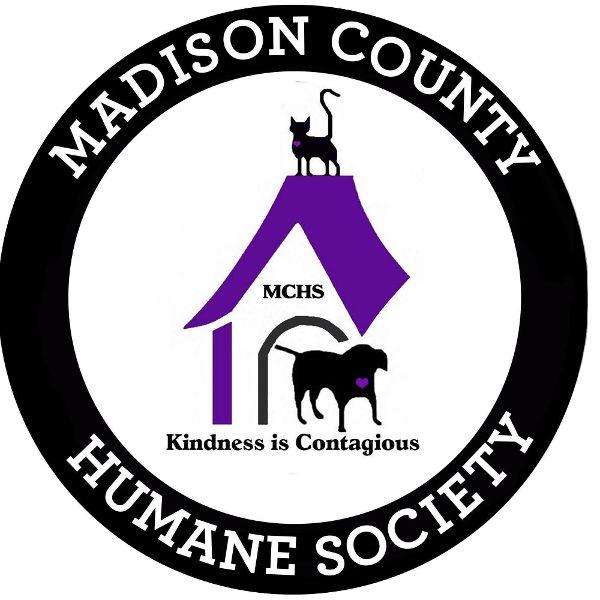 store-logo