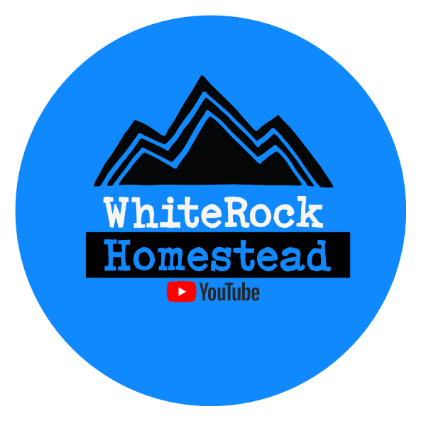 store-logo