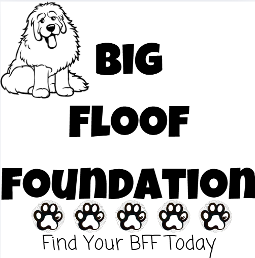store-logo