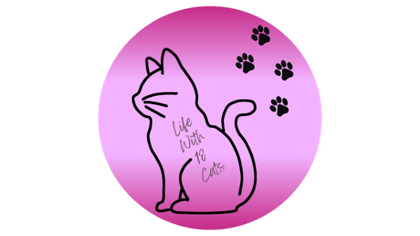 store-logo