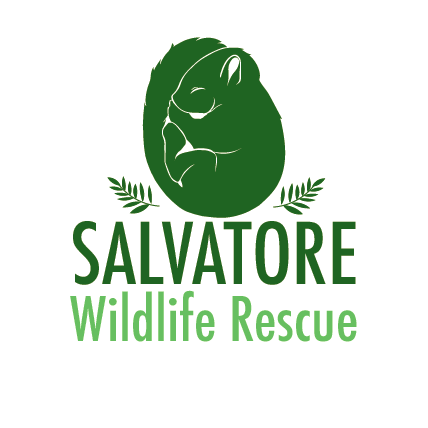 store-logo