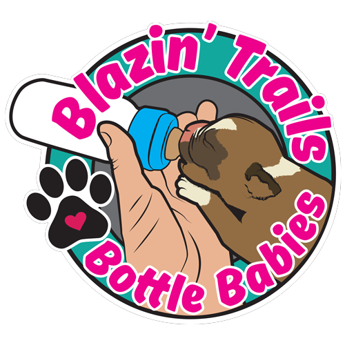 store-logo