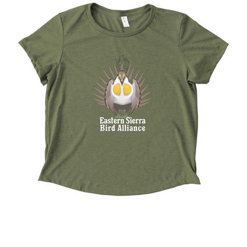 ESBA Logo Shirts (front), a Olive You Green Allmade Eco Triblend Women?s Scoop Neck Tee