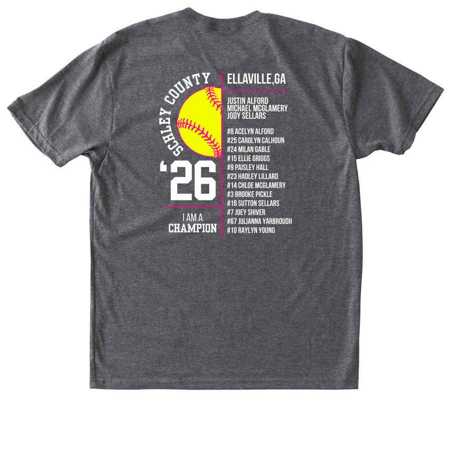 SC 10u Lightening Dark / Pink, a Premium Heather Triblend Unisex Tee (back-view)