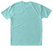 LifeSong Enhance T-Shirt, a Tahiti Blue Triblend Unisex Tee (back-view)