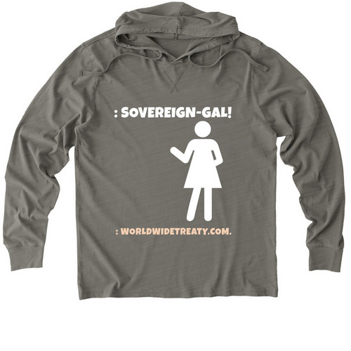 : SOVEREIGN-GAL!, a Driftwood Grey Allmade Organic Cotton Mineral Dye Hoodie Tee