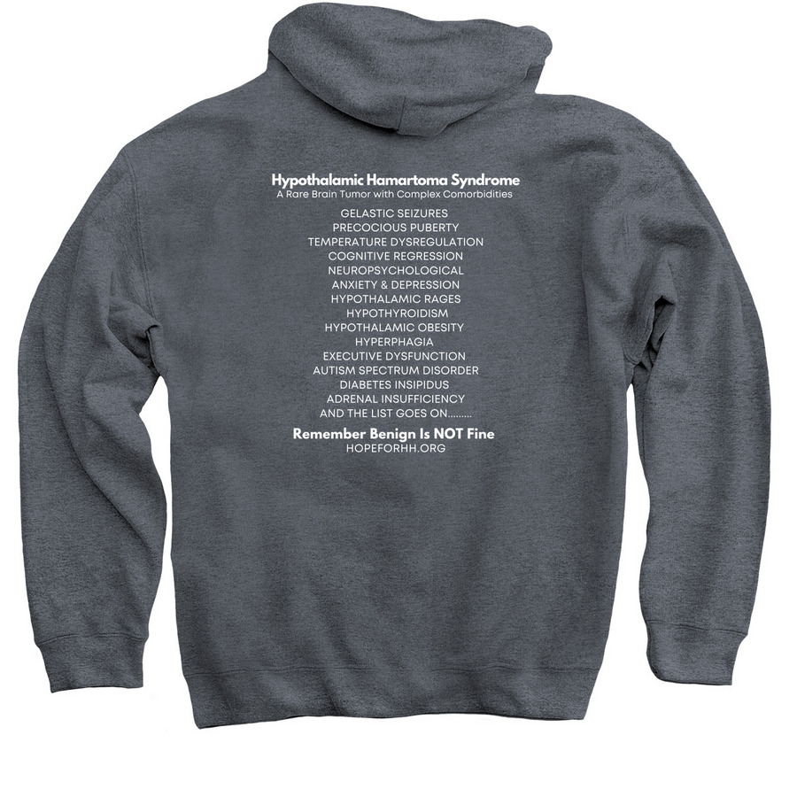 Benign Is NOT FINE, a Dark Heather Pullover Hoodie (back-view)