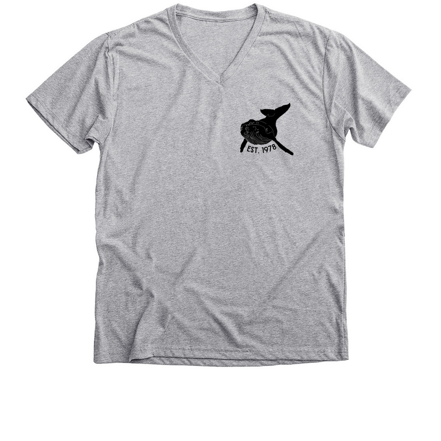 MMSC 45th Anniversary apparel, a Athletic Heather Premium V-Neck Tee