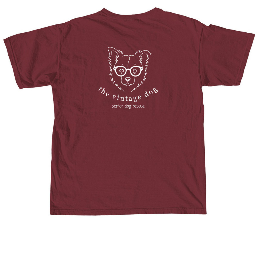 In my dog dad era, a Brick Comfort Colors Unisex Tee (back-view)