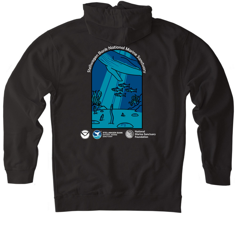 Stellwagen Bank Ecosystem, a Black Heavyweight Pullover Hoodie (back-view)