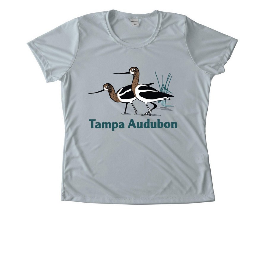 Moisture Wicking Performance Shirts, a Silver Women's Performance Tee