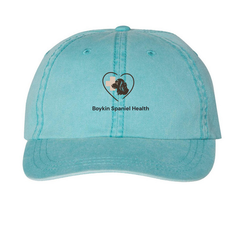 Boykin Spaniel Health, a Aqua Printed Pigment Dye Baseball Cap