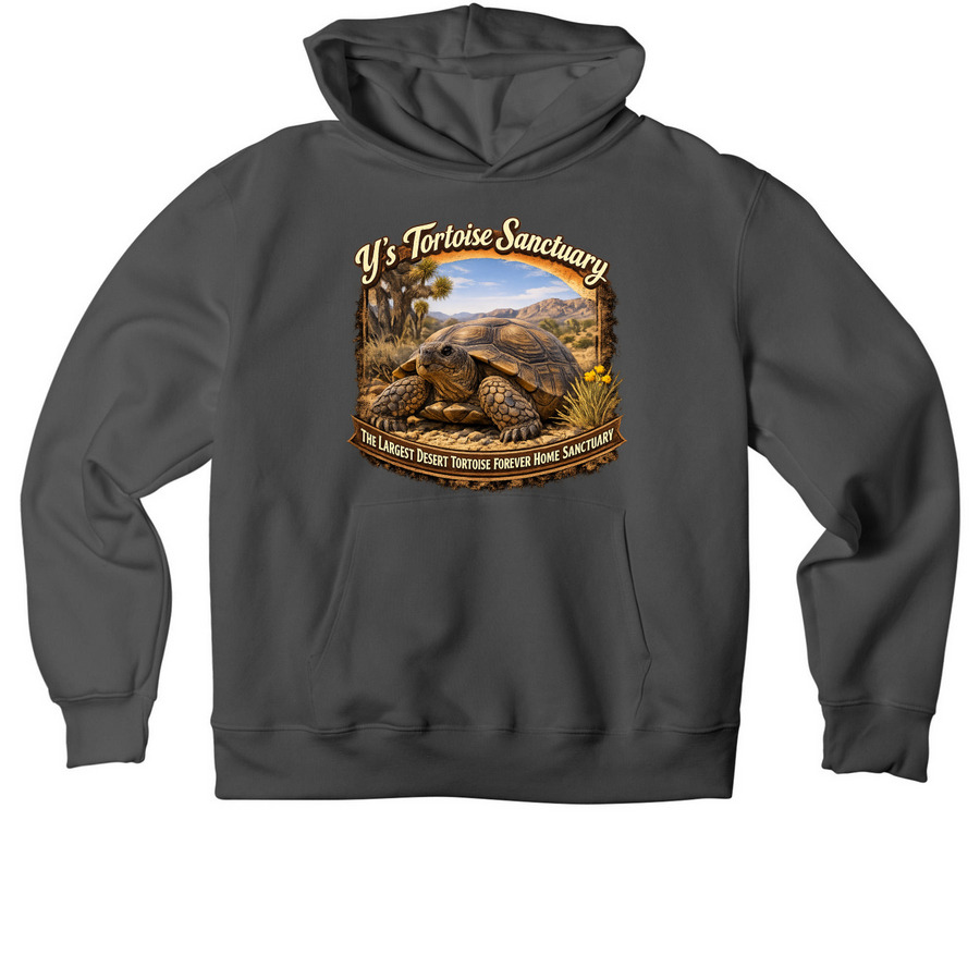 Y's Desert Tortoise Sanctuary, a Asphalt Premium Heavyweight Pullover Hoodie
