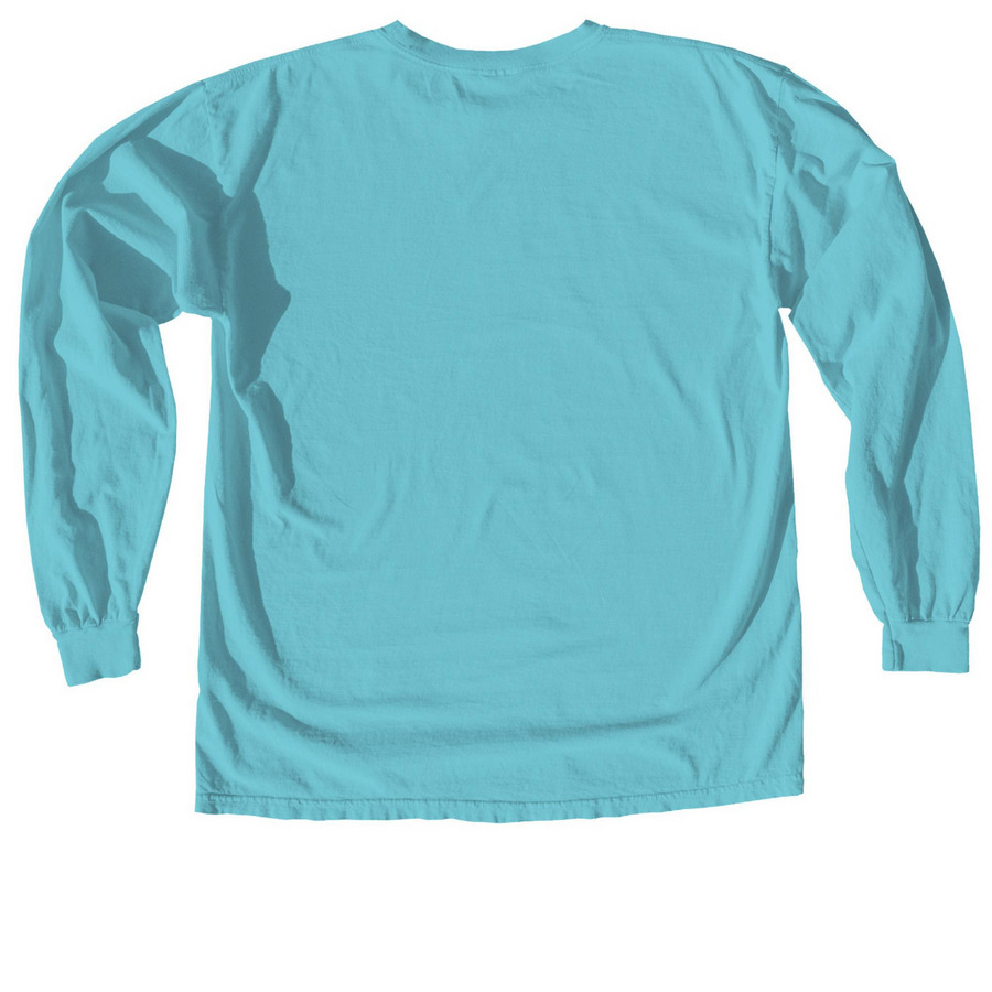 RAS BFHC shirts&nbsp;, a Lagoon Comfort Colors Long Sleeve Tee (back-view)