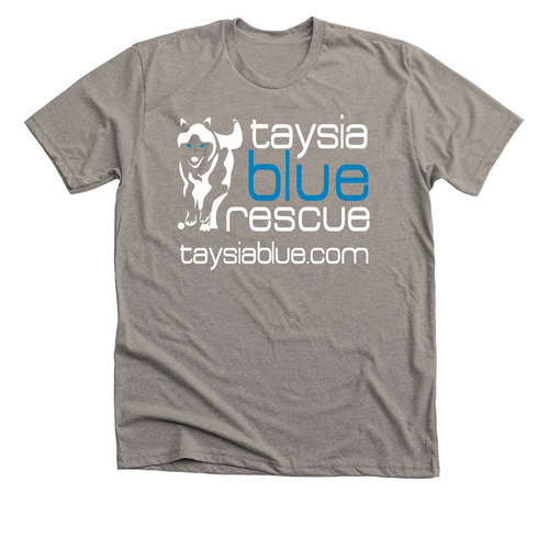 Volunteer Shirts 2023, a Heather Stone Premium Unisex Tee