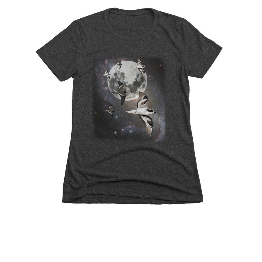 Nunulu & 'Akihike'ehi'ale Moon Shirt, a Charcoal Women's Slim Fit Tee